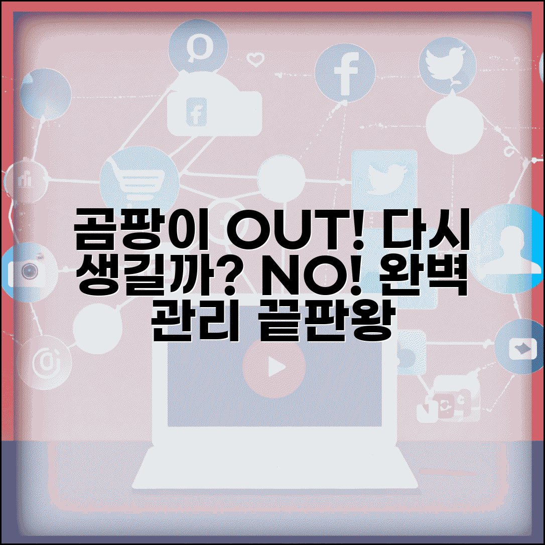 곰팡이 제거 후 관리법 | 곰팡이 재발 방지 | 지속적인 곰팡이 관리 노하우