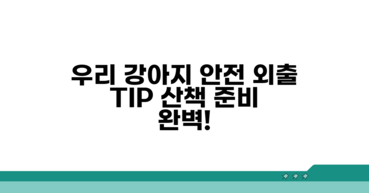 우리 강아지 안전 외출 방법